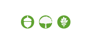genesis wealth logo